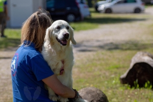 Un po di noi 2025 - Gallery 22