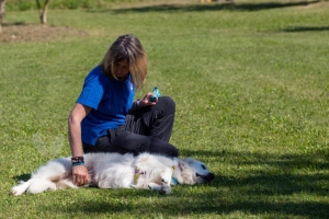 Un po di noi 2025 - Gallery 23