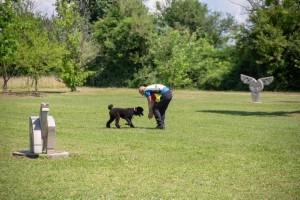 Un po di noi 2025 - Gallery 52