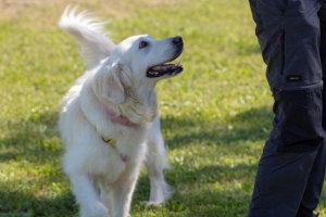 Un po di noi 2025 - Gallery 33