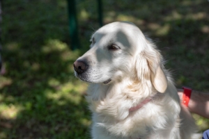 Un po di noi 2025 - Gallery 25