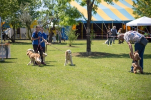 Un po di noi 2025 - Gallery 54