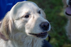 Un po di noi 2025 - Gallery 30