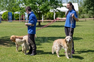 Un po di noi 2025 - Gallery 50