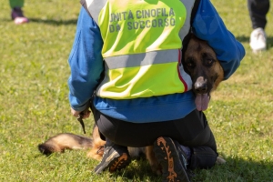 Un po di noi 2025 - Gallery 41