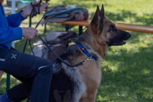 Un po di noi 2025 - Gallery 6