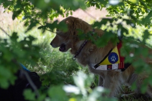 Un po di noi 2025 - Gallery 36