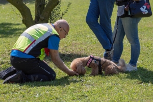 Un po di noi 2025 - Gallery 42