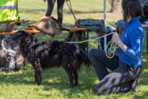 Un po di noi 2025 - Gallery 14