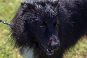 Un po di noi 2025 - Gallery 18