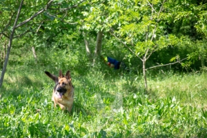 Un po di noi 2025 - Gallery 9