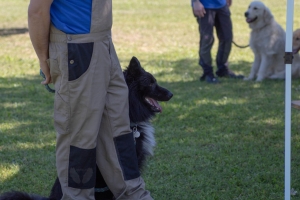 Un po di noi 2025 - Gallery 31