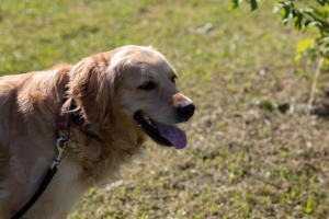 Un po di noi 2025 - Gallery 32