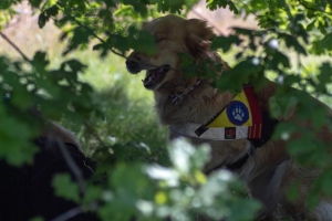 Un po di noi 2025 - Gallery 26