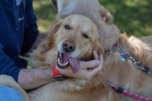 Un po di noi 2025 - Gallery 38