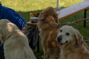 Un po di noi 2025 - Gallery 46