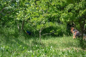 Un po di noi 2025 - Gallery 47