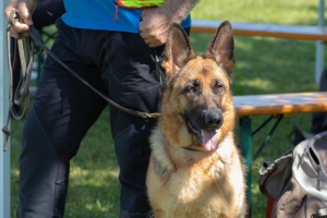 Un po di noi 2025 - Gallery 10