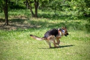 Un po di noi 2025 - Gallery 11